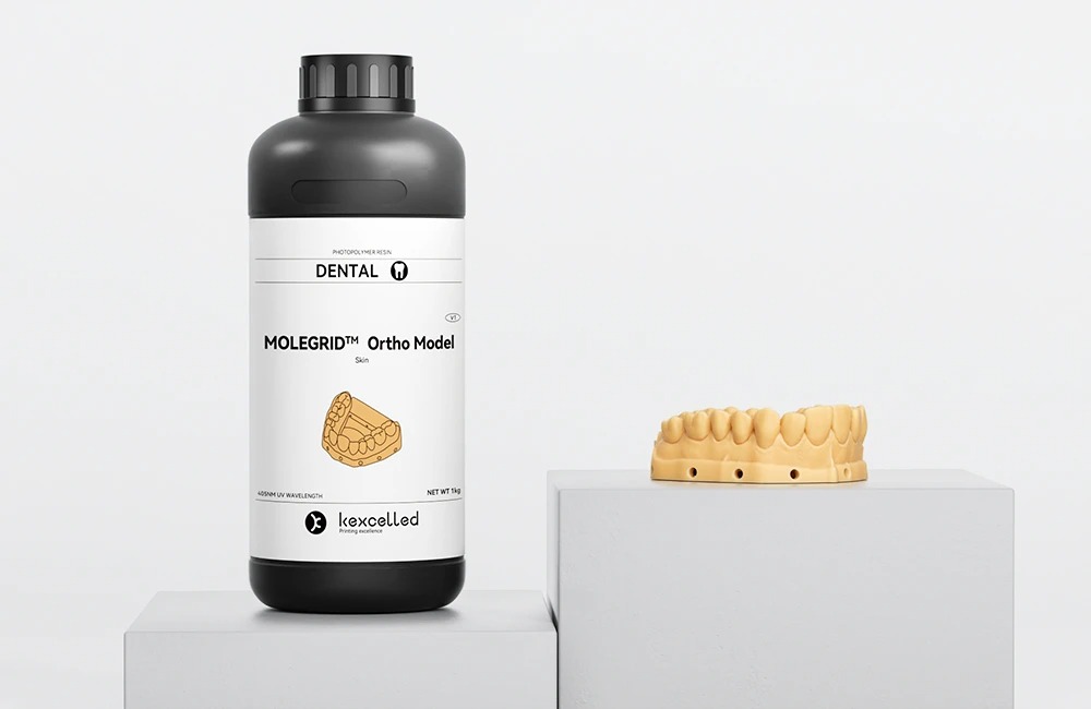 Ortho Model